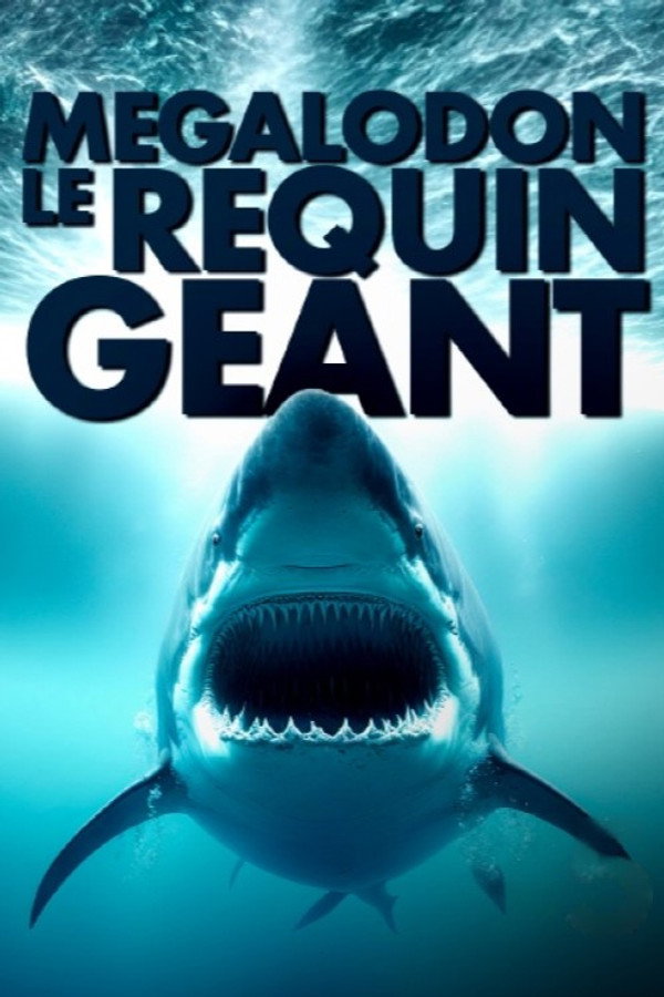 Mégalodon, le requin géant
