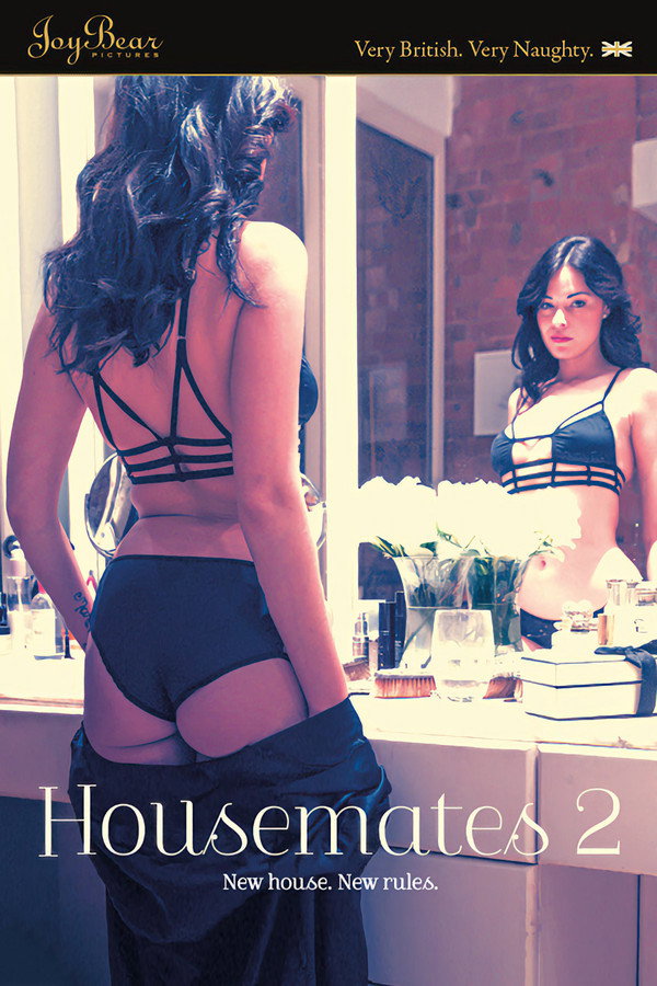 Housemates 2 海报