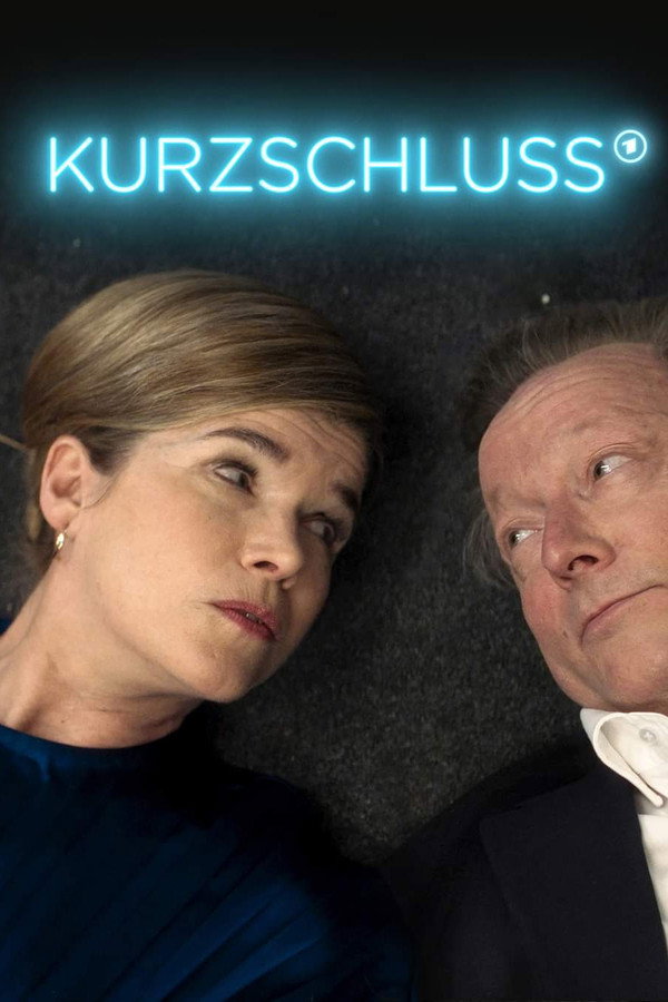 Kurzschluss poster