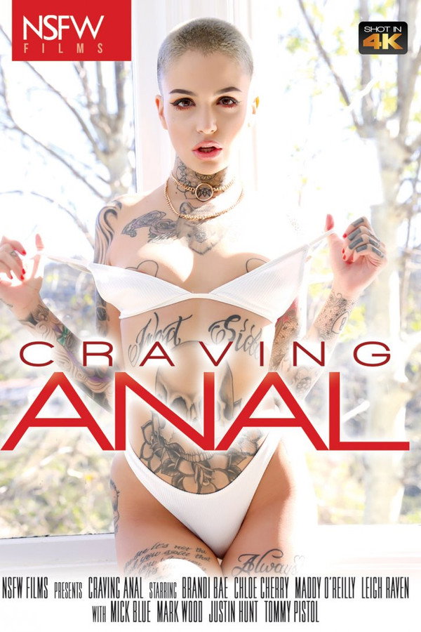 Craving Anal 海报