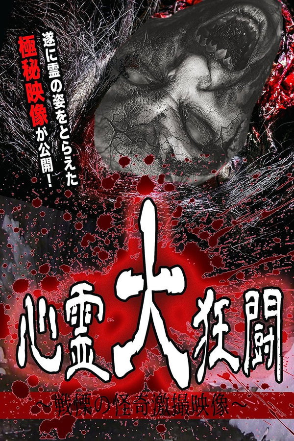 心霊大狂闘 ～戦慄の怪奇激撮映像～ 海报