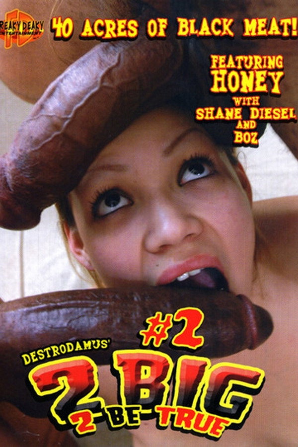 2 Big 2 Be True 2 海报