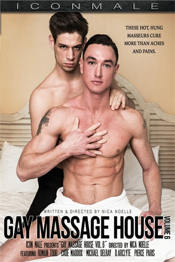 Gay Massage House 6 海报