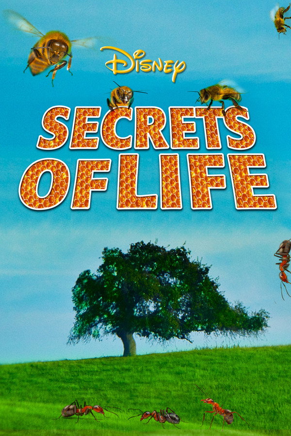 Secrets of Life 海报
