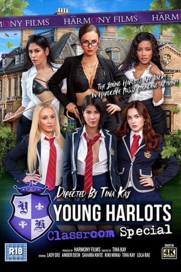 Young Harlots: Classroom Special 海报