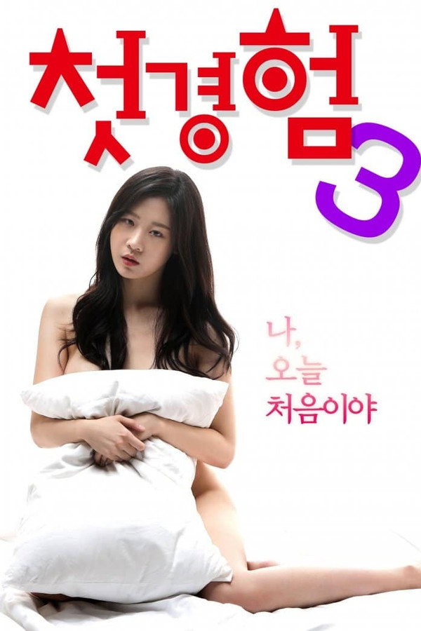The First Time 3 poster