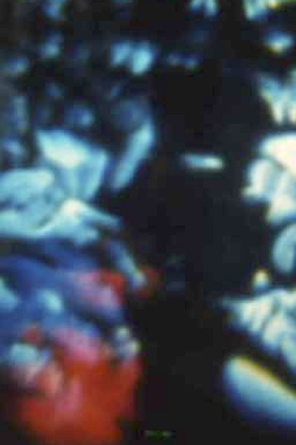 Song 16 poster