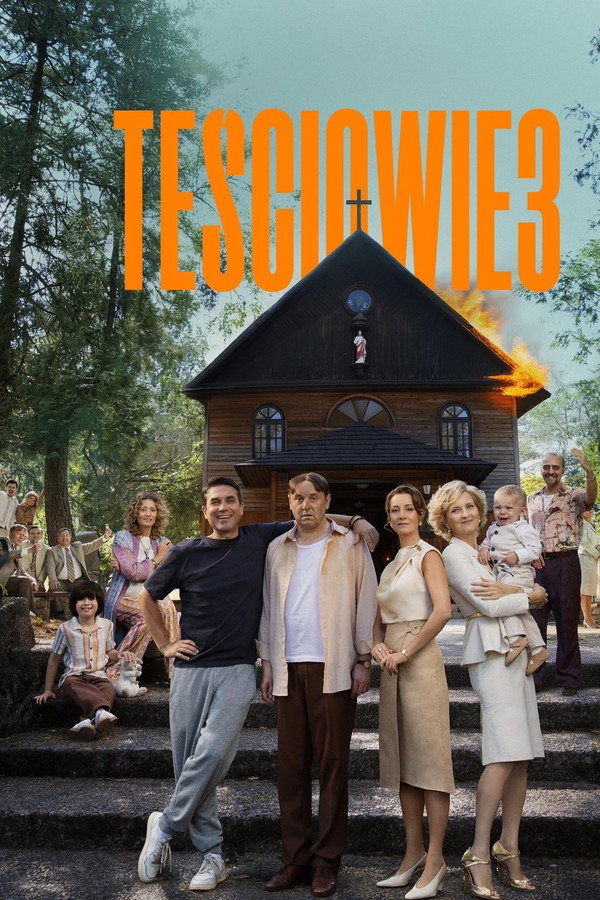 The In-Laws 3 poster