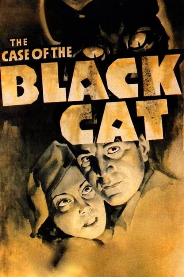 The Case of the Black Cat 海报