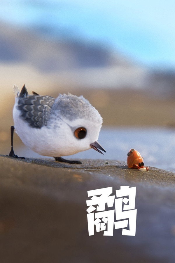 鹬