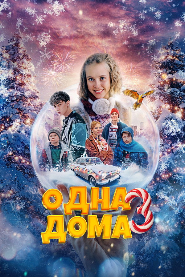 Одна дома 3 海报