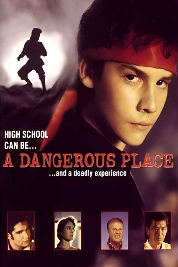 A Dangerous Place 海报