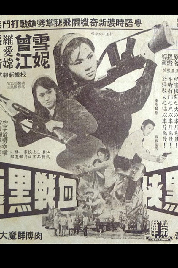 The Woman in Black and the Black Dragon poster