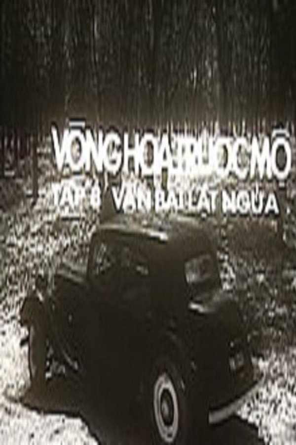 Ván bài lật ngửa 8: Vòng hoa trước mộ 海报