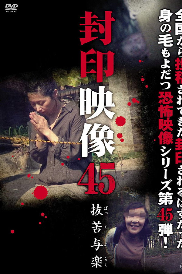 Sealed Video 45: Bakkuyoraku poster