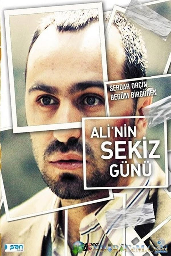 Ali'nin Sekiz Günü 海报