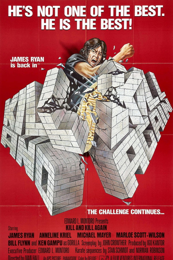 Kill and Kill Again poster