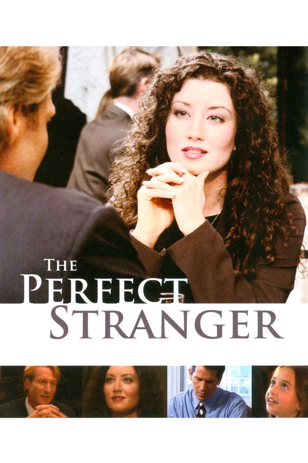The Perfect Stranger 海报