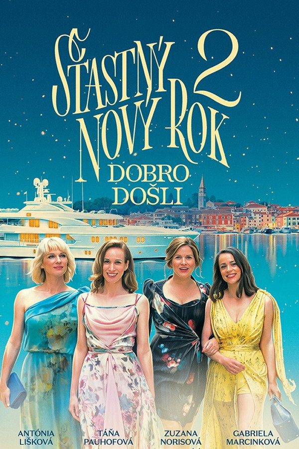 Happy New Year 2 poster