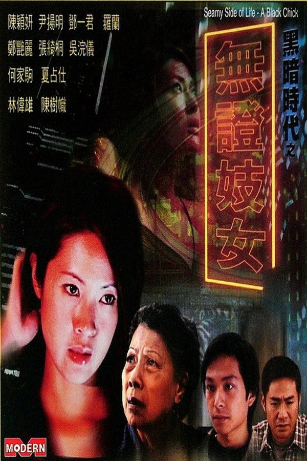 Seamy Side Of Life - A Black Chick poster