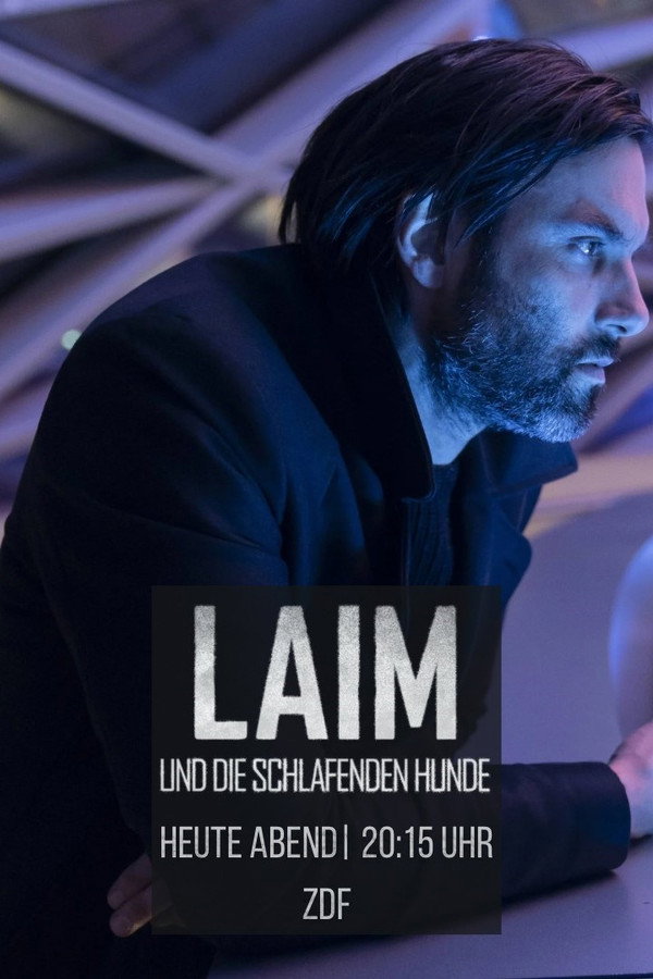 Laim und die schlafenden Hunde 海报