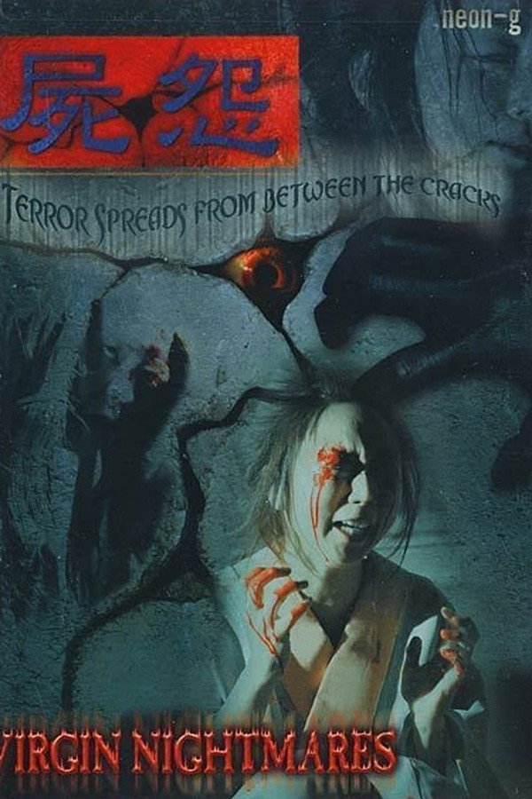 Virgin Nightmares poster