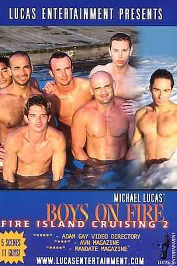 Fire Island Cruising 2: Boys on Fire 海报