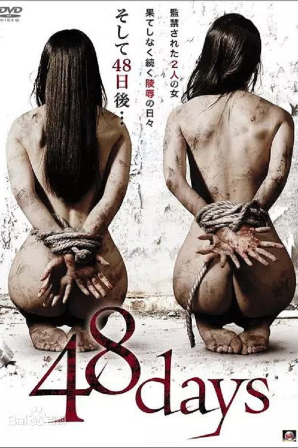 48天 海报
