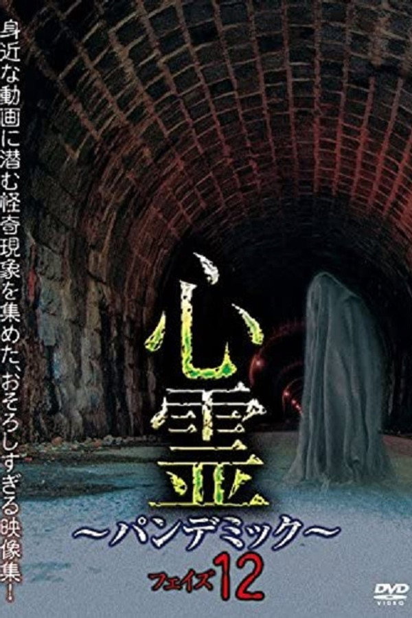 灵异蔓延12 海报