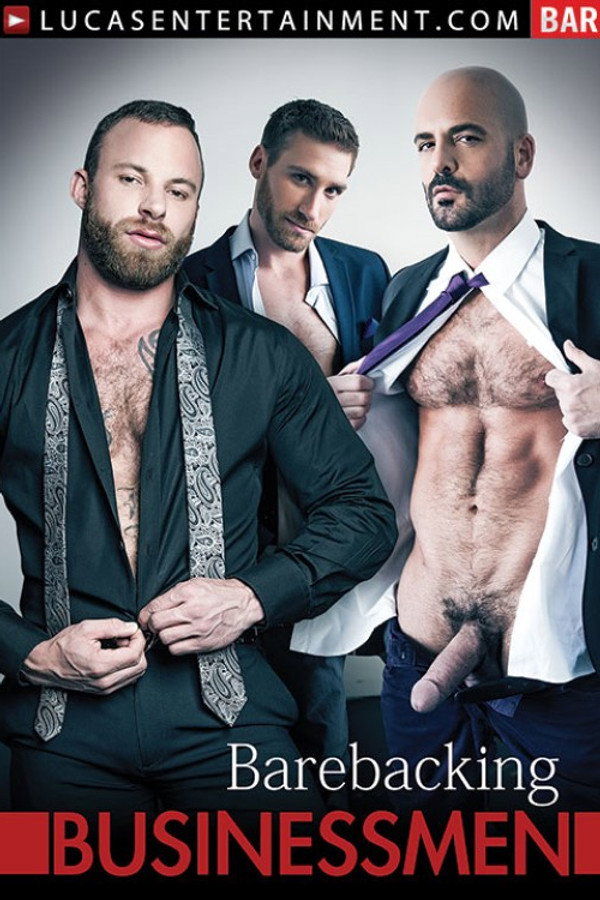 Gentlemen 13: Barebacking Businessmen 海报