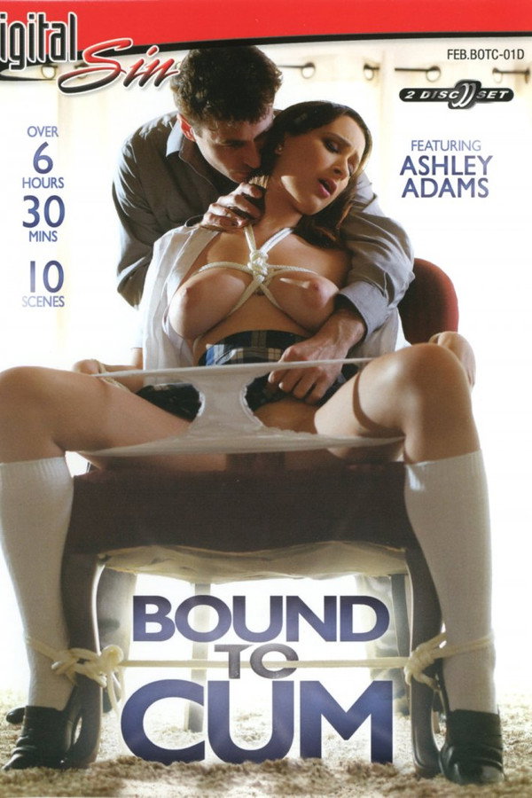 Bound to Cum 海报