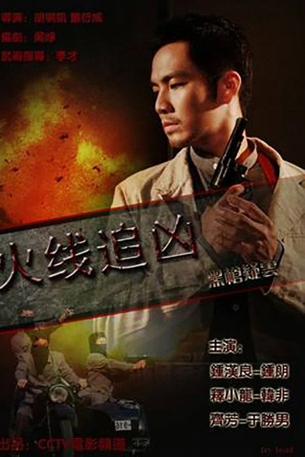 火线追凶之黑枪疑云 海报