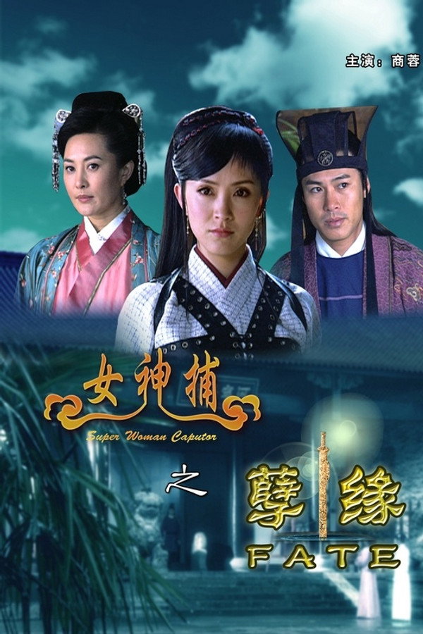 女神捕之孽缘 海报