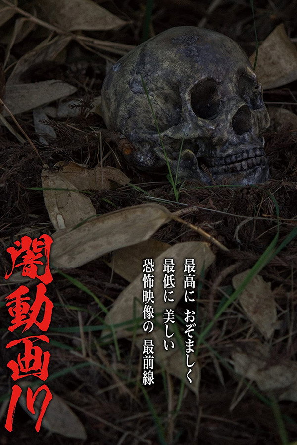 Tokyo Videos of Horror 17 poster