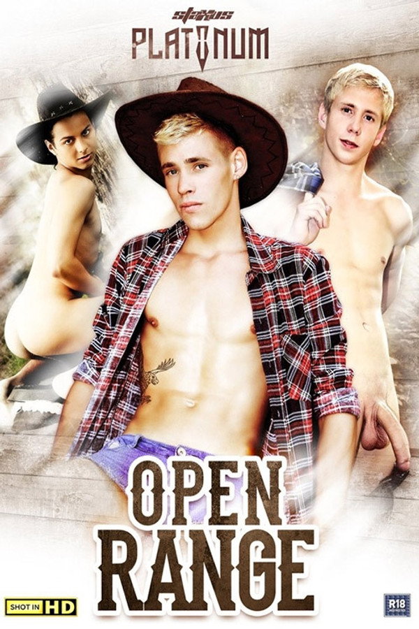 Open Range 海报