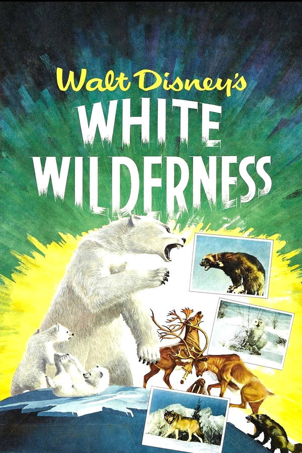 White Wilderness 海报