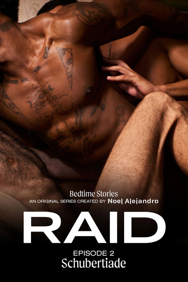 睡前故事：RAID 2 - 舒伯特之夜 海报