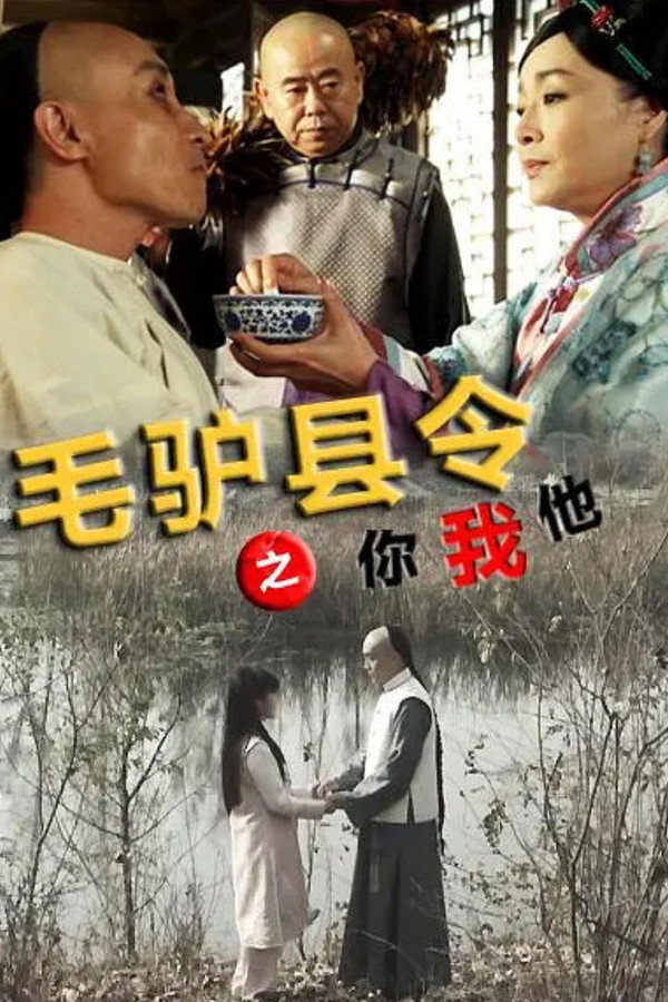 毛驴县令之你我他 海报