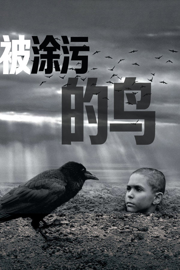 被涂污的鸟