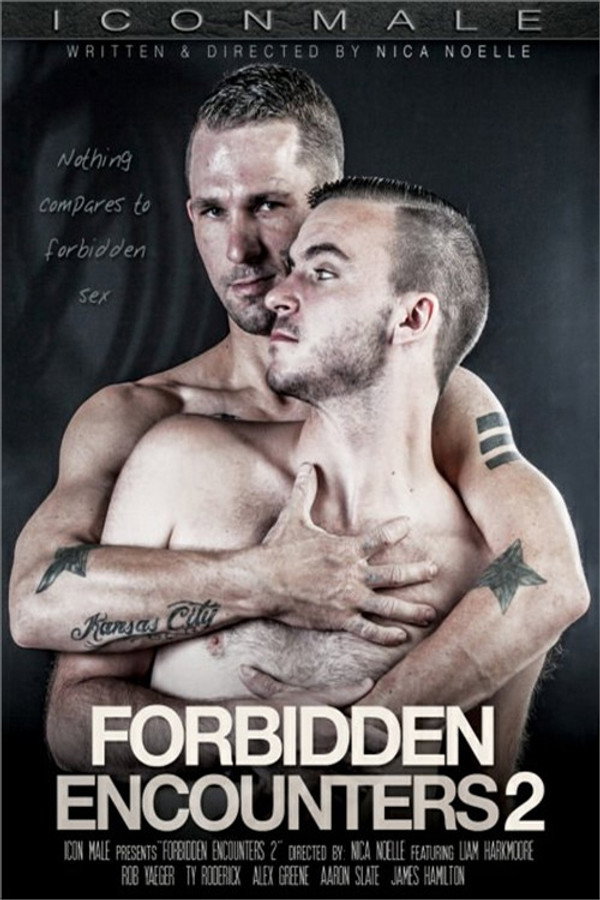 Forbidden Encounters 2 海报