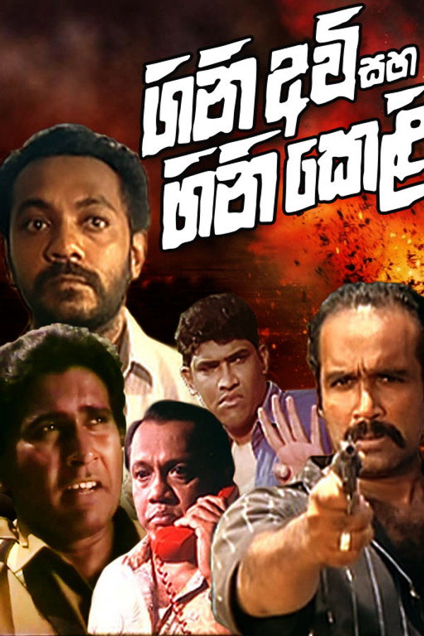 ගිනි අවි සහ ගිනි කෙළි 海报