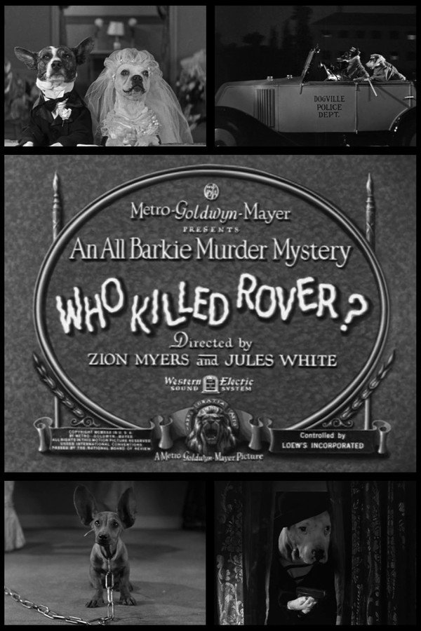 Who Killed Rover? 海报