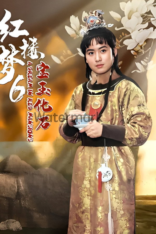 红楼梦第六部：宝玉化石 海报