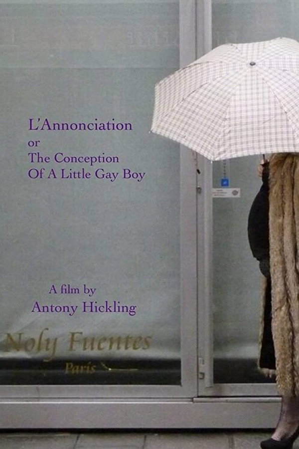 L'Annonciation or The Conception of a Little Gay Boy 海报