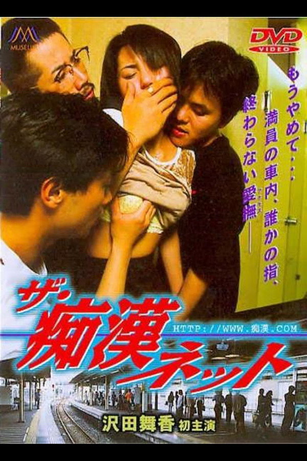 痴汉网络 海报