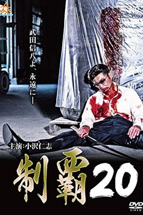 Conquest 20 poster