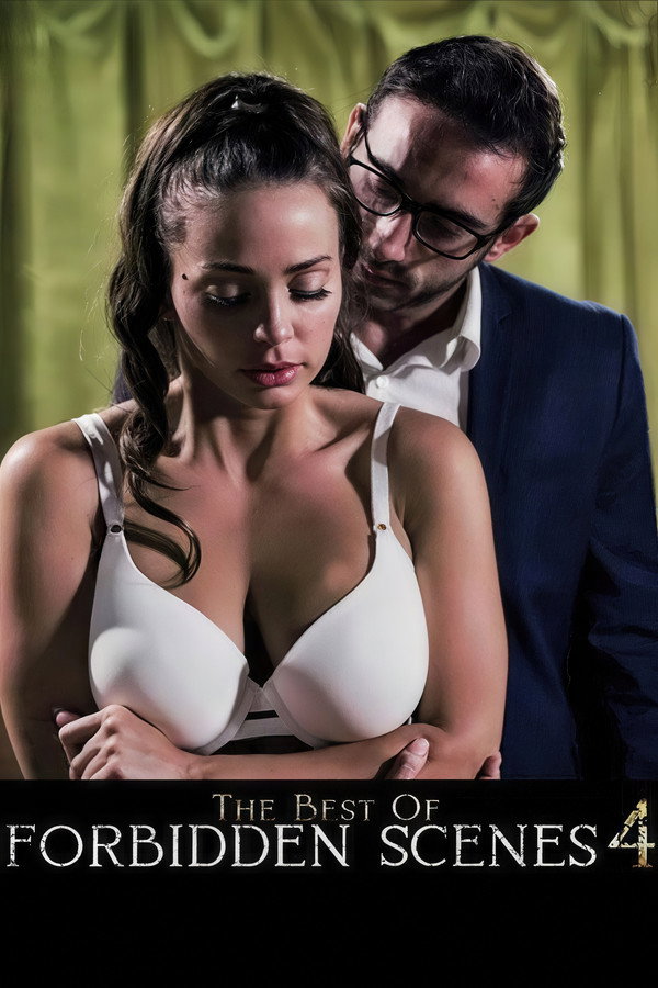The Best of Forbidden Scenes 4 海报