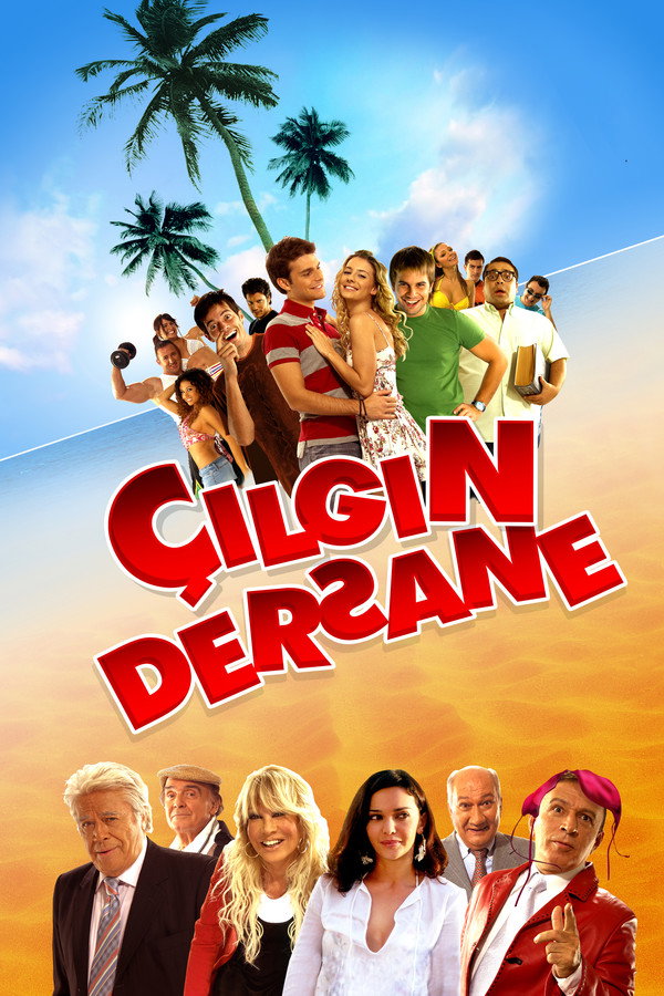 Çılgın Dersane 海报