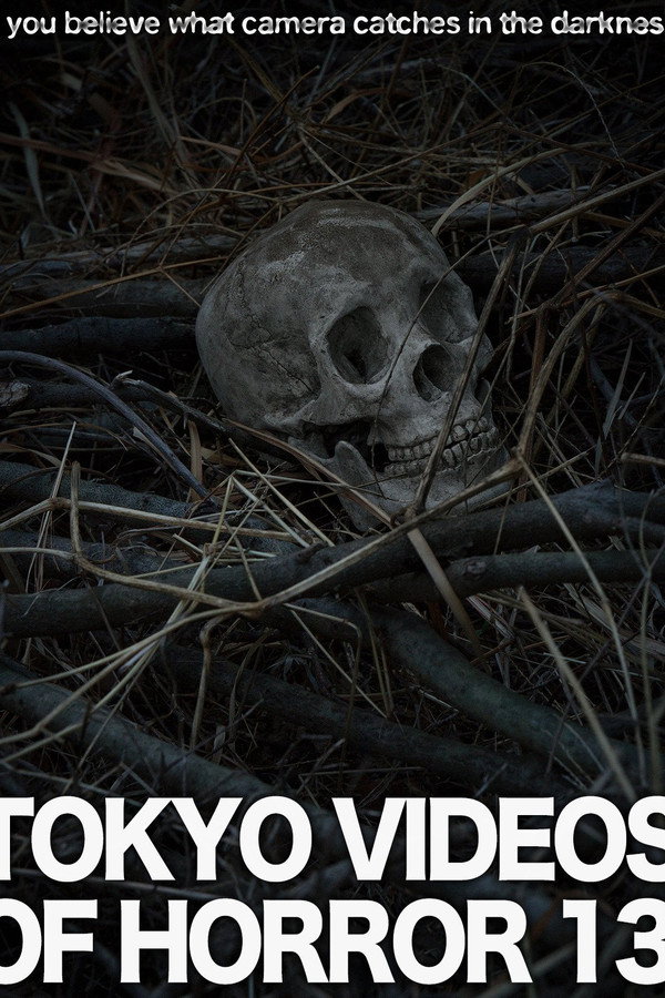 Tokyo Videos of Horror 13 poster