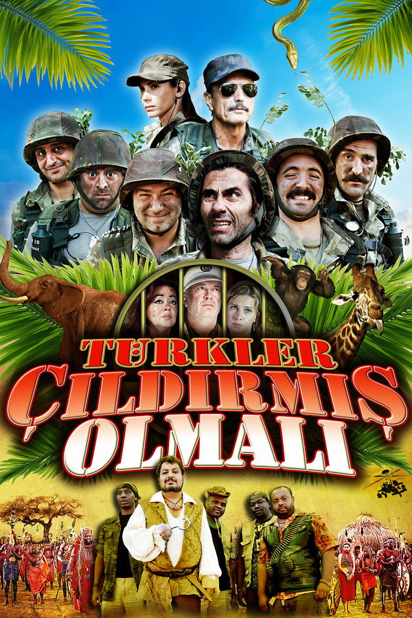 Türkler Çıldırmış Olmalı 海报